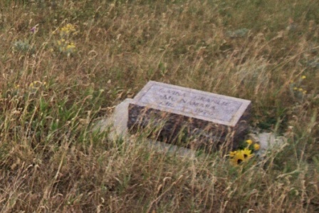 Elvina Granlie McNamara headstone at Wilmington Cemetery